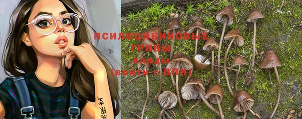 не бодяженный Верея