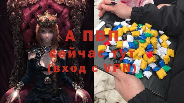 дмт Покачи